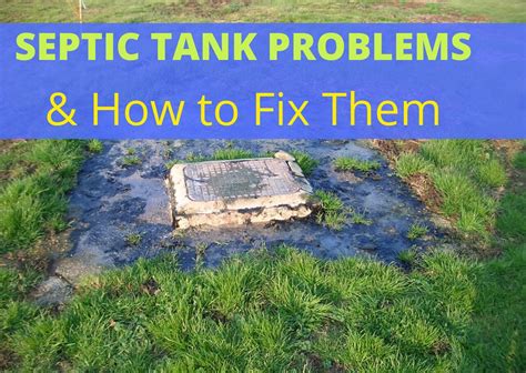 Most Common Septic Tank Distribution Box Problems And Solutions